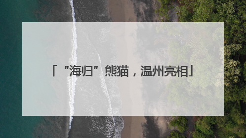 “海归”熊猫，温州亮相