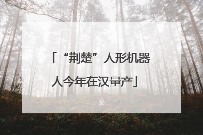 “荆楚”人形机器人今年在汉量产