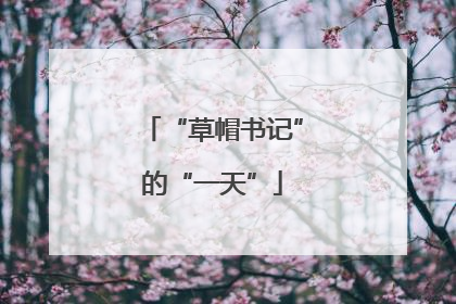 “草帽书记”的“一天”