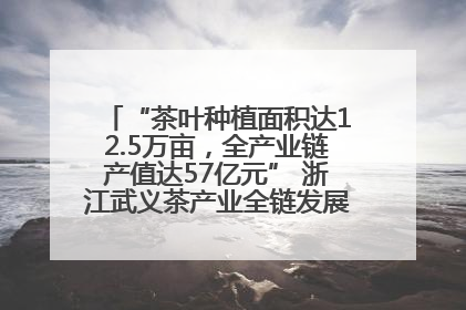 “茶叶种植面积达12.5万亩，全产业链产值达57亿元” 浙江武义茶产业全链发展“加速度”