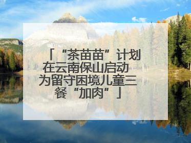 “茶苗苗”计划在云南保山启动 为留守困境儿童三餐“加肉”