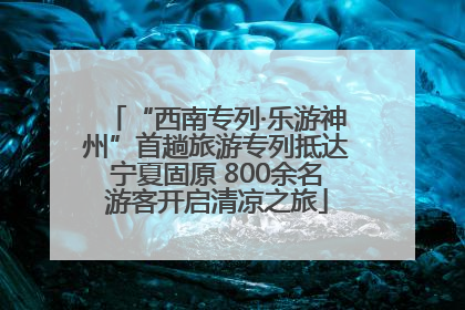 “西南专列·乐游神州”首趟旅游专列抵达宁夏固原 800余名游客开启清凉之旅