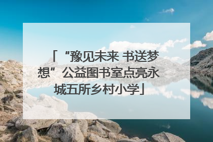“豫见未来 书送梦想”公益图书室点亮永城五所乡村小学