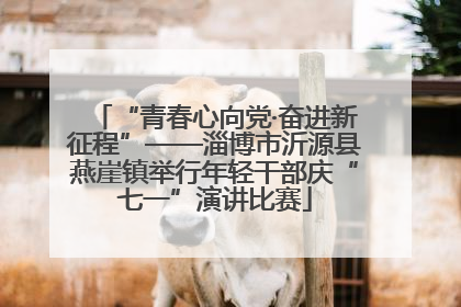 “青春心向党·奋进新征程”——淄博市沂源县燕崖镇举行年轻干部庆“七一”演讲比赛