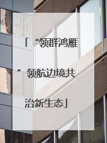 “领群鸿雁”领航边境共治新生态
