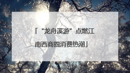 “龙舟溪游”点燃江南西商圈消费热潮