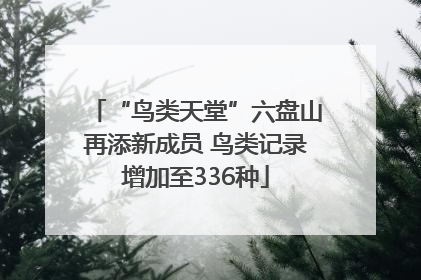 “鸟类天堂”六盘山再添新成员 鸟类记录增加至336种