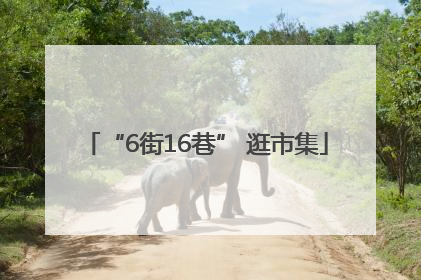 “6街16巷” 逛市集