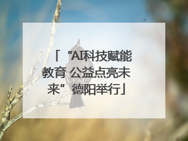“AI科技赋能教育 公益点亮未来”德阳举行