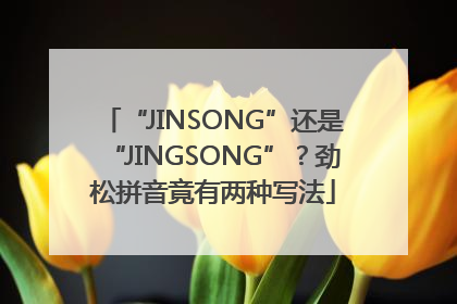 “JINSONG”还是“JINGSONG”？劲松拼音竟有两种写法
