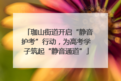 珈山街道开启“静音护考”行动，为高考学子筑起“静音通道”
