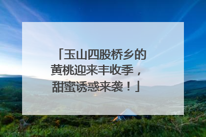 玉山四股桥乡的黄桃迎来丰收季，甜蜜诱惑来袭！