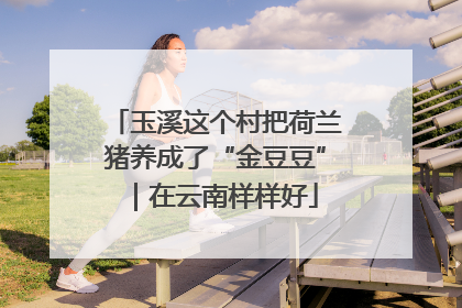 玉溪这个村把荷兰猪养成了“金豆豆”｜在云南样样好