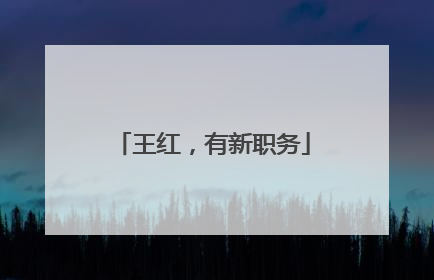 王红，有新职务