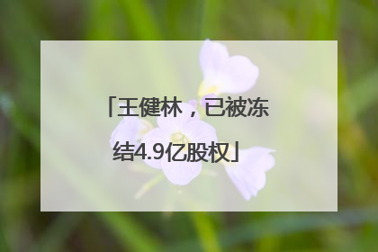 王健林，已被冻结4.9亿股权