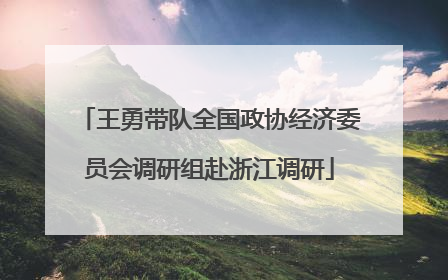王勇带队全国政协经济委员会调研组赴浙江调研