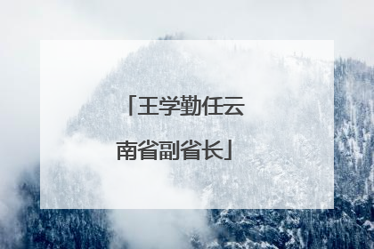 王学勤任云南省副省长