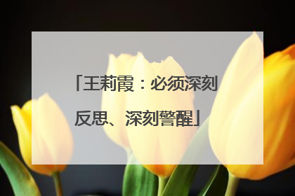 王莉霞：必须深刻反思、深刻警醒
