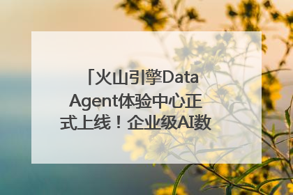 火山引擎Data Agent体验中心正式上线！企业级AI数据专家触手可及