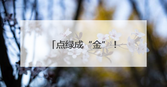 点绿成“金”！保康林下经济产值突破9亿元