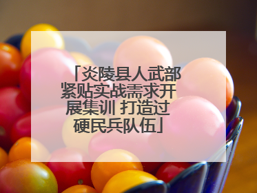 炎陵县人武部紧贴实战需求开展集训 打造过硬民兵队伍