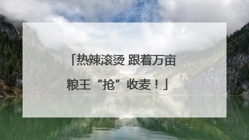 热辣滚烫 跟着万亩粮王“抢”收麦！