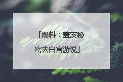 爆料：盖茨秘密去白宫游说