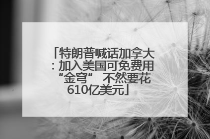 特朗普喊话加拿大：加入美国可免费用“金穹” 不然要花610亿美元