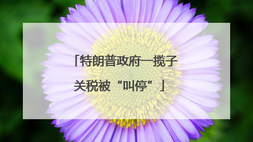 特朗普政府一揽子关税被“叫停”
