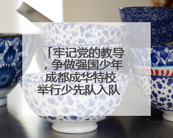 牢记党的教导，争做强国少年 成都成华特校举行少先队入队仪式