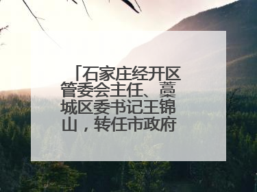 石家庄经开区管委会主任、藁城区委书记王锦山，转任市政府二级巡视员