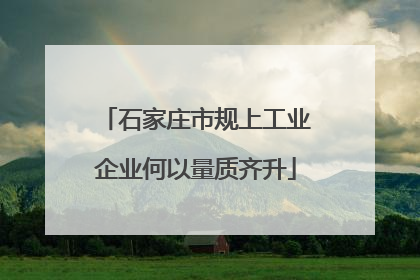 石家庄市规上工业企业何以量质齐升