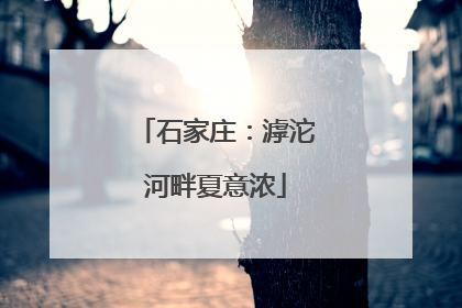 石家庄：滹沱河畔夏意浓