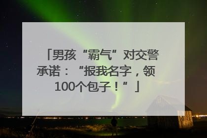 男孩“霸气”对交警承诺：“报我名字，领100个包子！”