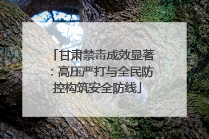 甘肃禁毒成效显著：高压严打与全民防控构筑安全防线