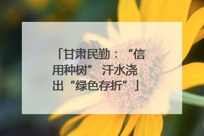 甘肃民勤：“信用种树” 汗水浇出“绿色存折”