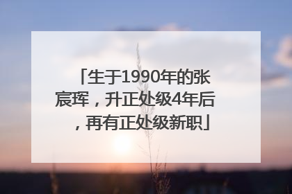 生于1990年的张宸珲，升正处级4年后，再有正处级新职