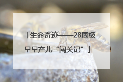 生命奇迹——28周极早早产儿“闯关记”