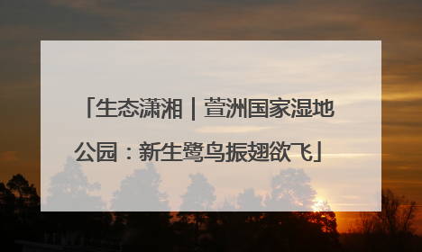 生态潇湘｜萱洲国家湿地公园：新生鹭鸟振翅欲飞