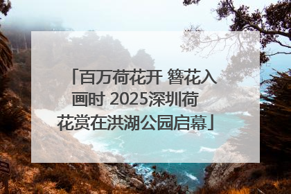 百万荷花开 簪花入画时 2025深圳荷花赏在洪湖公园启幕