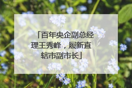 百年央企副总经理王秀峰，履新直辖市副市长