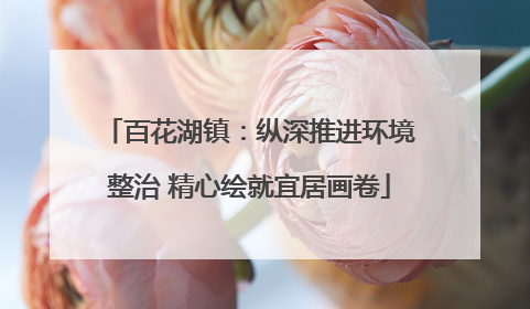 百花湖镇：纵深推进环境整治 精心绘就宜居画卷