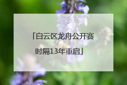 白云区龙舟公开赛时隔13年重启