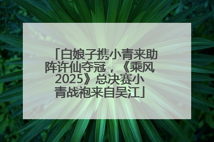 白娘子携小青来助阵许仙夺冠，《乘风2025》总决赛小青战袍来自吴江
