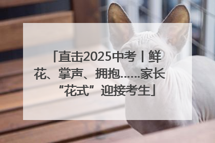 直击2025中考丨鲜花、掌声、拥抱……家长“花式”迎接考生