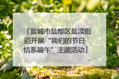 盐城市盐都区盐渎街道开展“我们的节日·情系端午”主题活动