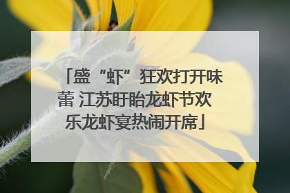 盛“虾”狂欢打开味蕾 江苏盱眙龙虾节欢乐龙虾宴热闹开席