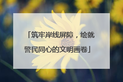 筑牢岸线屏障，绘就警民同心的文明画卷