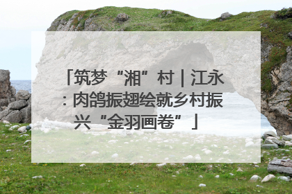 筑梦“湘”村｜江永：肉鸽振翅绘就乡村振兴“金羽画卷”