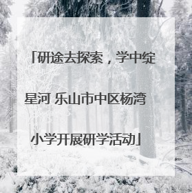 研途去探索，学中绽星河 乐山市中区杨湾小学开展研学活动